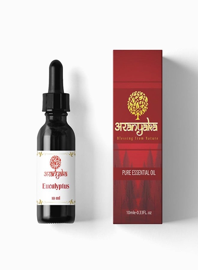 100% Pure Eucalyptus Essential Oil – Natural Aromatherapy Oil for Diffuser, Bath, Skin & Hair – Therapeutic Grade, Undiluted, 10ml - Image 2