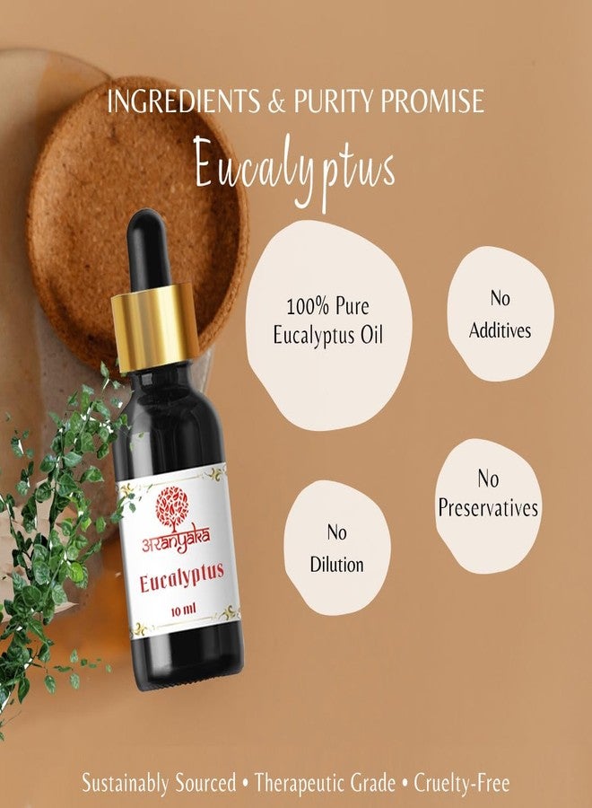 100% Pure Eucalyptus Essential Oil – Natural Aromatherapy Oil for Diffuser, Bath, Skin & Hair – Therapeutic Grade, Undiluted, 10ml - Image 3