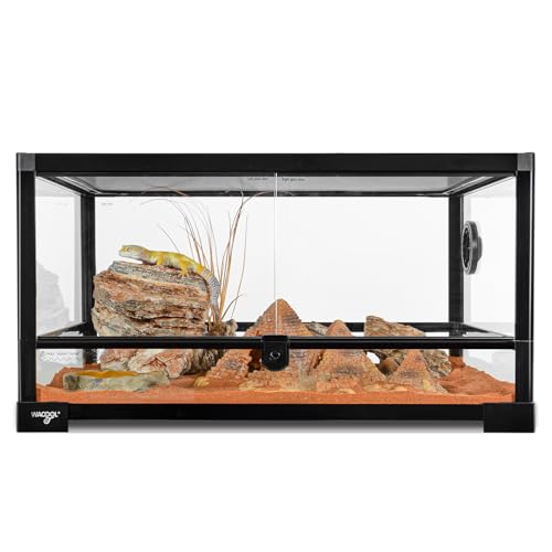 WACOOL TERRA Reptile Tank 20 Gallon, 360°Full Vision Glass Reptile Terrarium 24" x 18" x 12", 24 in Wide Front Opening Reptile Tank for Desert and Tropical Reptiles Gecko Bearded Dragon Snake Hermit Crab - Image 1
