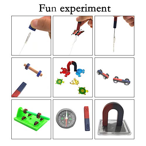 EUDAX Labs Junior Science N/S Magnet Set for Education Science Experiment Tools Icluding Bar/Ring/Horseshoe/Compass Magnets - Image 3