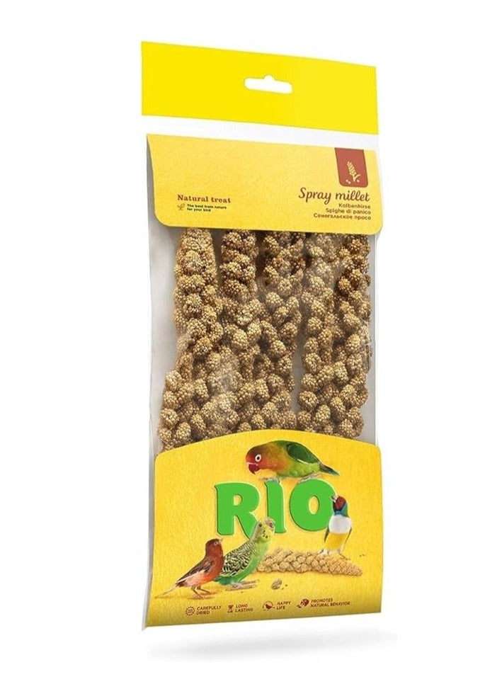 RIO Spray Millet Natural Treat For All Birds 100g x 3 - Image 2