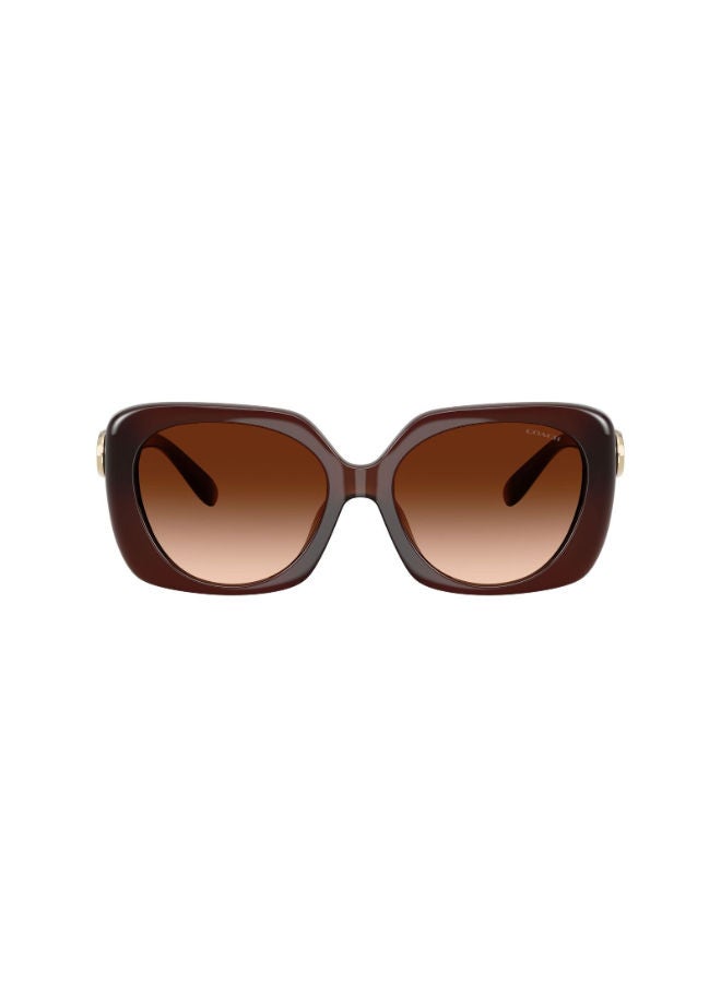 كوتش نظارة شمسية بإطار كامل مربع 8422U, 55, 5841, 74 - Image 2