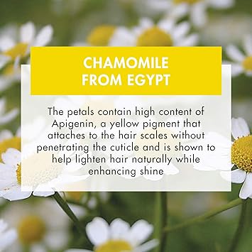 Klorane شامبو كلوران لتفتيح الشعر مع البابونج 400 مل - Image 4