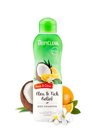 TropiClean Citrus & Neem Oil Flea Shampoo for Dogs | Tick and Flea Bite Relief for Dogs | Natural Dog Shampoo Derived from Natural Ingredients | Made in the USA | 20 oz. - pzsku/ZF833B5936455339D1B52Z/45/_/1720361781/792e8685-2e07-4ed2-ac64-df5f1d255781