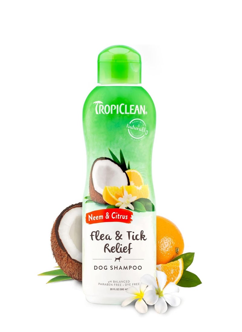 TropiClean TropiClean Citrus & Neem Oil Flea Shampoo for Dogs | Tick and Flea Bite Relief for Dogs | Natural Dog Shampoo Derived from Natural Ingredients | Made in the USA | 20 oz.  - Image 1