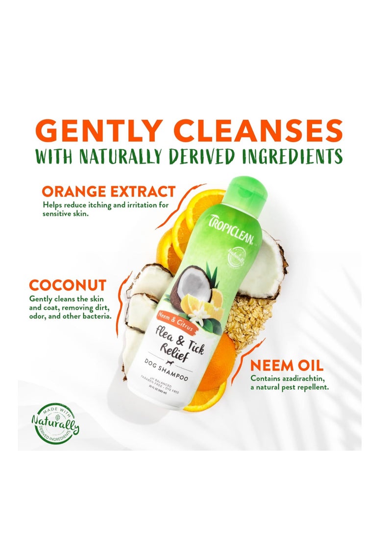 TropiClean TropiClean Citrus & Neem Oil Flea Shampoo for Dogs | Tick and Flea Bite Relief for Dogs | Natural Dog Shampoo Derived from Natural Ingredients | Made in the USA | 20 oz.  - Image 3