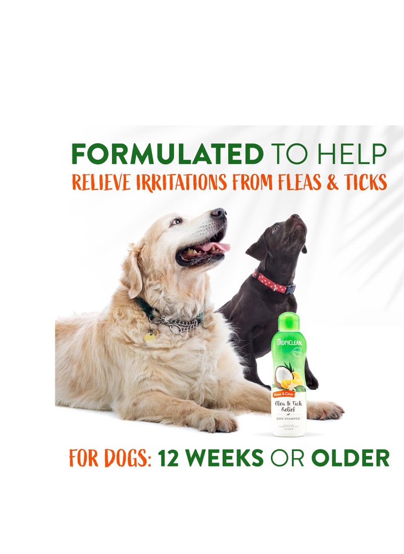 TropiClean TropiClean Citrus & Neem Oil Flea Shampoo for Dogs | Tick and Flea Bite Relief for Dogs | Natural Dog Shampoo Derived from Natural Ingredients | Made in the USA | 20 oz.  - Image 4