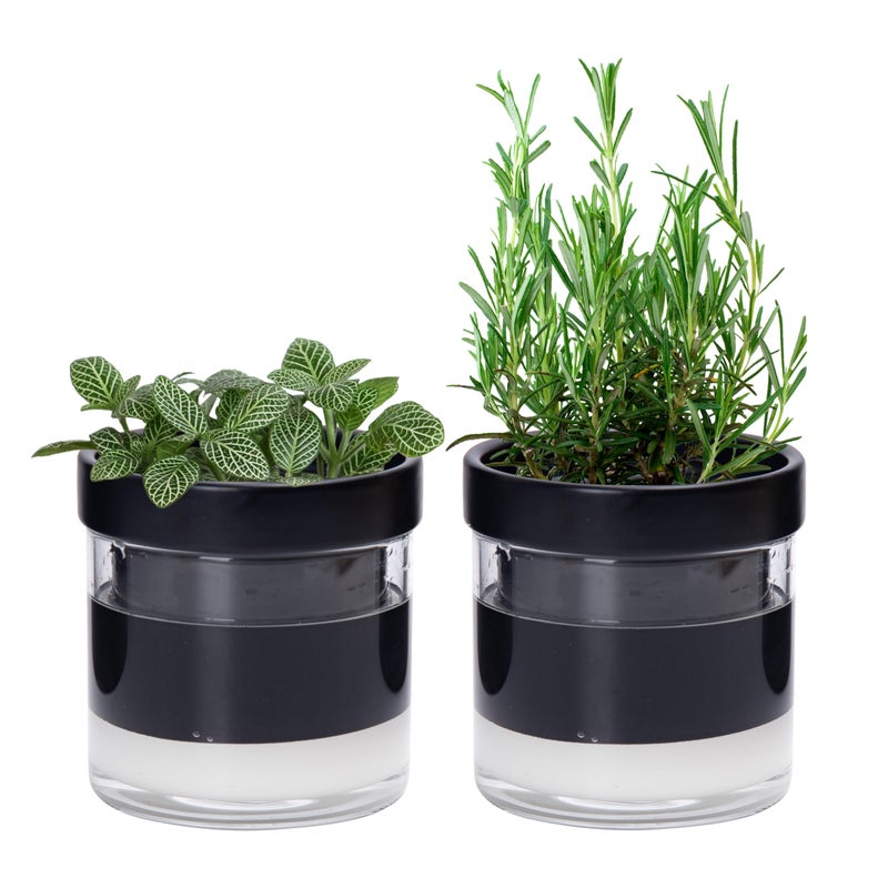 Phoenix Vine 4 Inch Self Watering Planter Pot, Black Terracotta Clay Pot with Glass Reservoir for Indoor Plants, Herbs, Flowers, Set of 2, 52-C-E-2 - Image 1