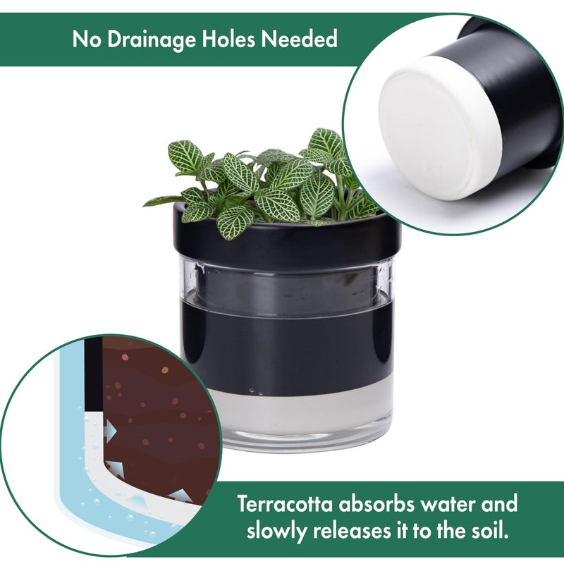 Phoenix Vine 4 Inch Self Watering Planter Pot, Black Terracotta Clay Pot with Glass Reservoir for Indoor Plants, Herbs, Flowers, Set of 2, 52-C-E-2 - Image 5