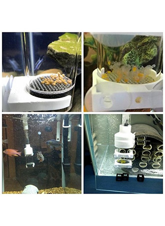 Senzeal Aquarium Cichlids Fish Egg Incubator Tumbler Fish Hatchery Mouth-Brooding 50mm - Image 5