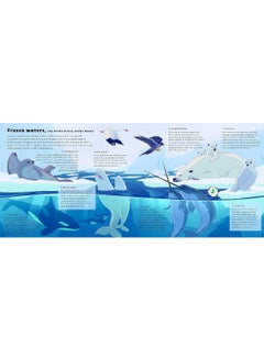 Sounds of Nature: World of Oceans: Press each note to hear animal sounds  - Image 1