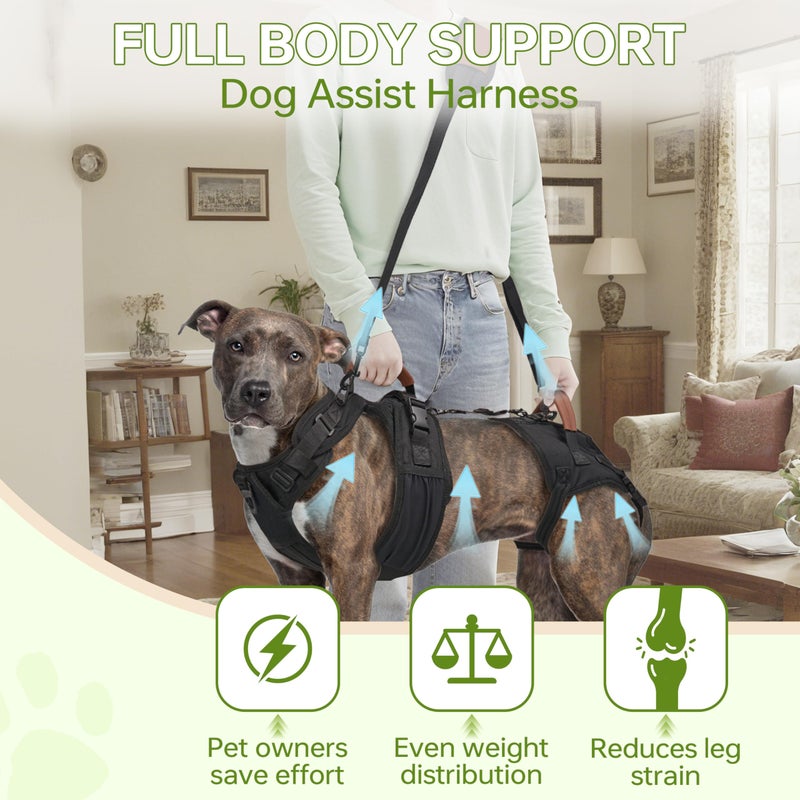 Moysoon Dog Lift Harness for Male Dogs - 2-in-1 Full Body Support Aid & Sling, Comfortable & Chafe-Free for Post-Surgery Recovery and Elderly Dog Mobility, Hind Leg Assistance, Supports up to 55 Lbs (L) - Image 3