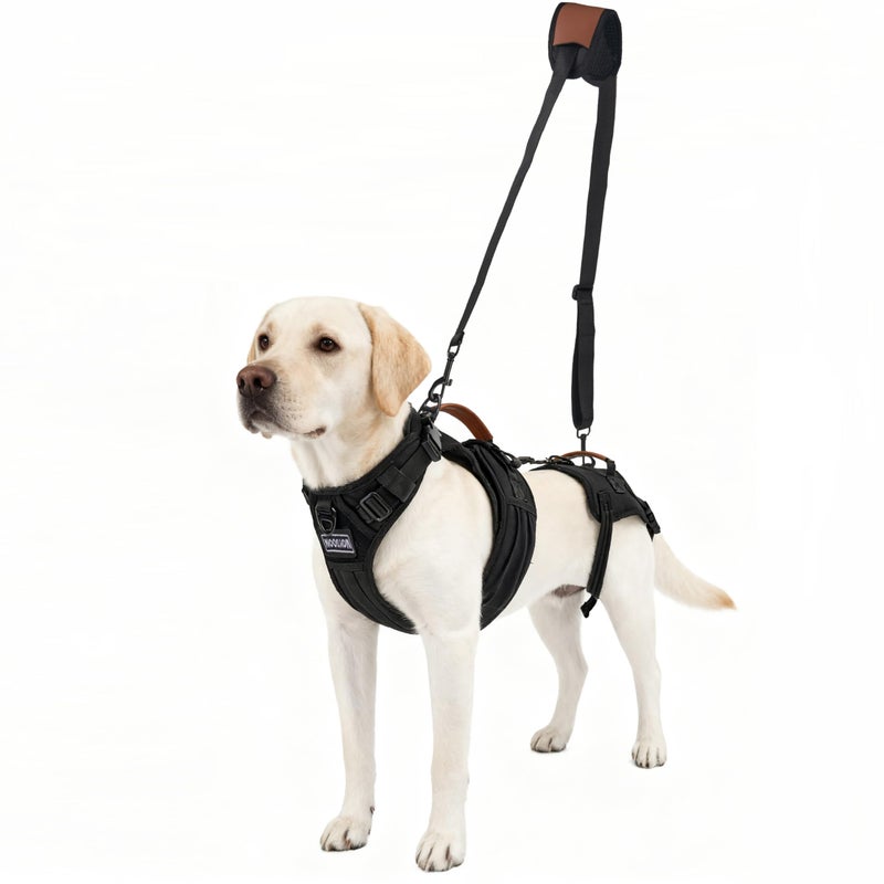Moysoon Dog Lift Harness for Male Dogs - 2-in-1 Full Body Support Aid & Sling, Comfortable & Chafe-Free for Post-Surgery Recovery and Elderly Dog Mobility, Hind Leg Assistance, Supports up to 55 Lbs (L) - Image 1