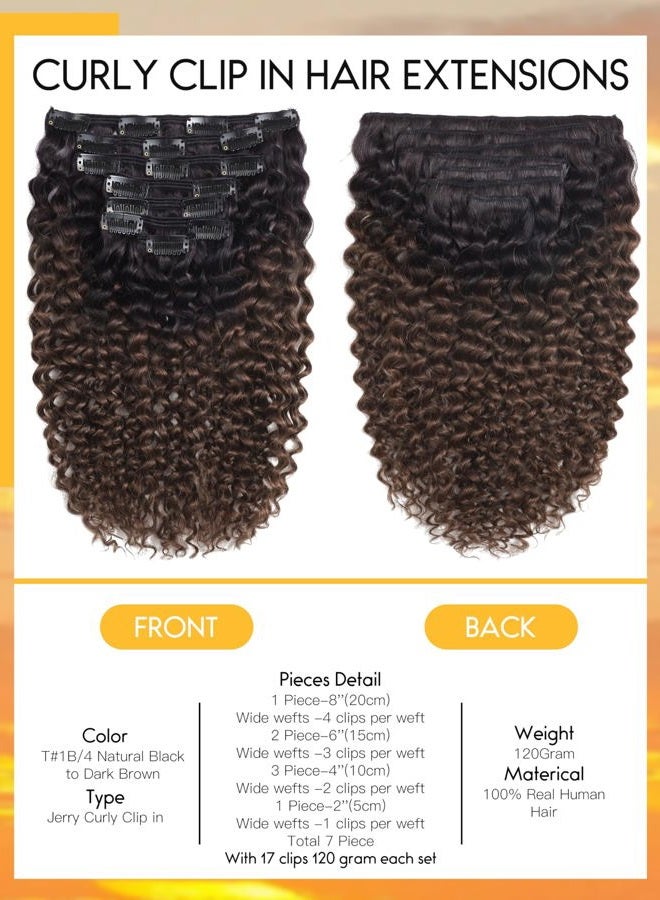 Caliee 22Inch Clip in Hair Extension Jerry Curly Double Weft Human Hair 3B 3C Curly Ombre Color Natural Hair Black Color into #4 Dark Brown Color 120Gram with 7 Pieces 17 Clips Per Pack - Image 2