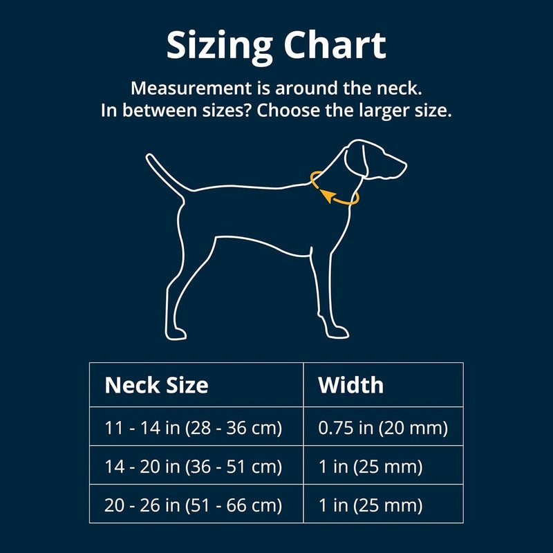 Ruffwear, Crag Dog Collar, Stylish Adventure Collar with Premium Reflective Design, Quick Release Buckle, Lightweight All-Day Comfort, Rising Wave, 14"-20" - Image 2