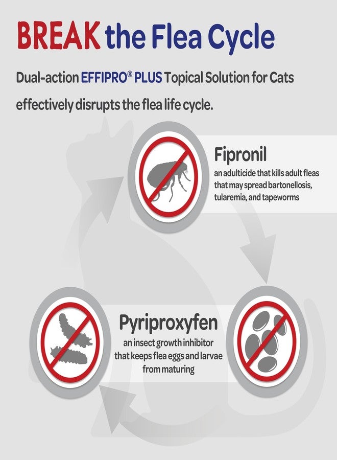 فيرباك محلول فيرباك إيفيبرو بلس الموضعي للقطط، يكفي لمدة 3 أشهر، المنتج غير قابل للتلف، لا تنتهي صلاحيته - Image 5