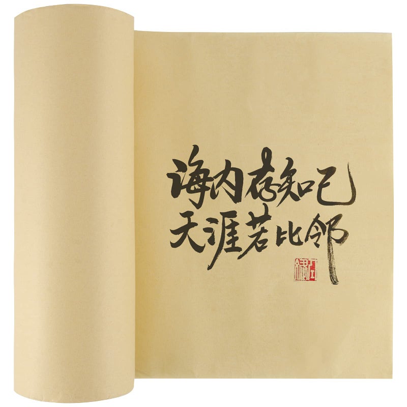 HOIGON Chinese Japanese Calligraphy Paper Roll Half Raw Ripe Sumi Paper Maobian Xuan Paper Without Grids Bamboo Writing Paper Roll for Drawing Practice Size 328 feet x 137 inch