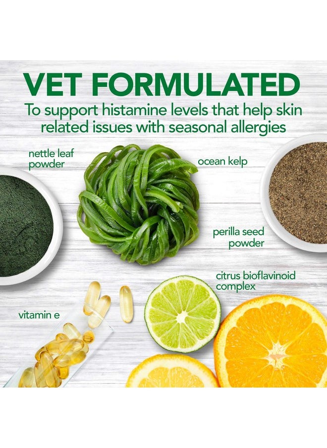 أفضل مكملات غذائية للكلاب من Vet's Best Seasonal Allergy Soft Chew | تهدئ تهيج جلد الكلاب بسبب الحساسية الموسمية | تحافظ على مستويات الهيستامين | 50 قرصًا قابلًا للمضغ، 30 قرصًا (عبوة من قطعتين) - pzsku/ZF83F49F060661557F025Z/45/_/1737031641/e2a5317d-d271-4332-888b-96b55db8b778