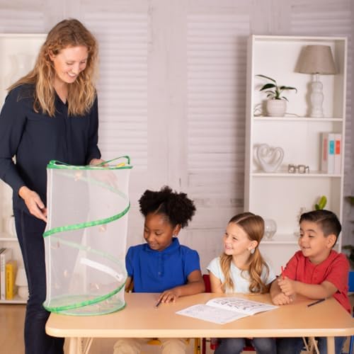 إنسيكت لور حشرات Lore School Kit تعبئة مع 33 كاتربيلار حية | مجلة نشاط الجذعية و 33 لايف طفل مطلي بالسيدة الفراشة اليرقات | المدرجة في الكؤوس والأدوات - Image 5