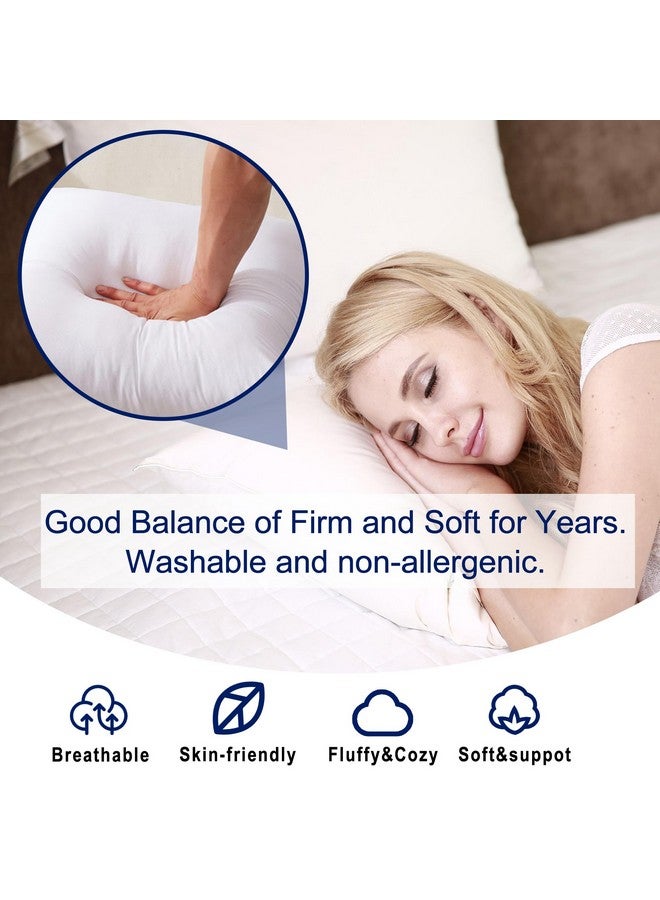 hito HITO 16x16 Pillow Inserts (Set of 2)- 100% Cotton Covering Down Alternative Throw Pillows White for Couch Bed Sofa  - Image 3