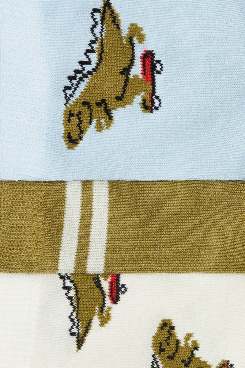 اتش اند ام جوارب - عبوة من 7