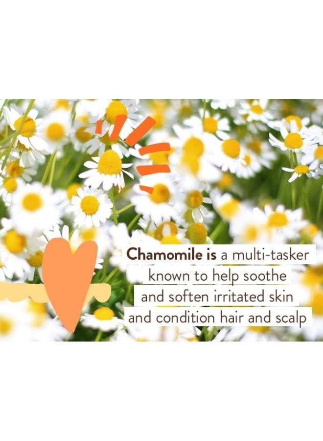 Babo Botanicals Sensitive Baby Fragrance-Free Diaper Cream - 25% Natural Zinc Oxide - Calendula, Shea & Cocoa Butter - EWG Verified - Vegan- From birth on - 2-Pack - Image 2