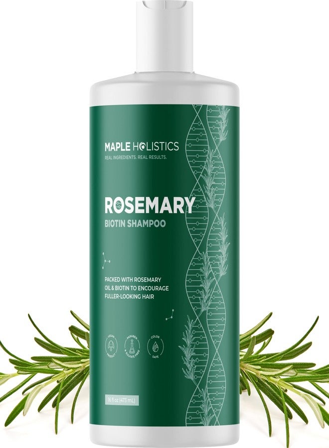 Maple Holistics Volumizing Biotin and Rosemary Shampoo - Vegan Rosemary Biotin Shampoo for Thinning Hair for Women and Men with Nourishing B Vitamins & Tea Tree Oil - Paraben Silicone & Sulfate Free (16 Fl Oz) - Image 1