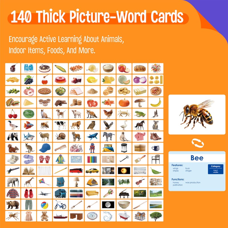 SpriteGru 140 Noun Picture-Word Cards, Picture Flashcards Language Builder Visual Aid Speech Development Tool for Autism, ESL Teaching Materials for Adults, Non-Verbal Children Vocabulary Builder for Toddlers - Image 2