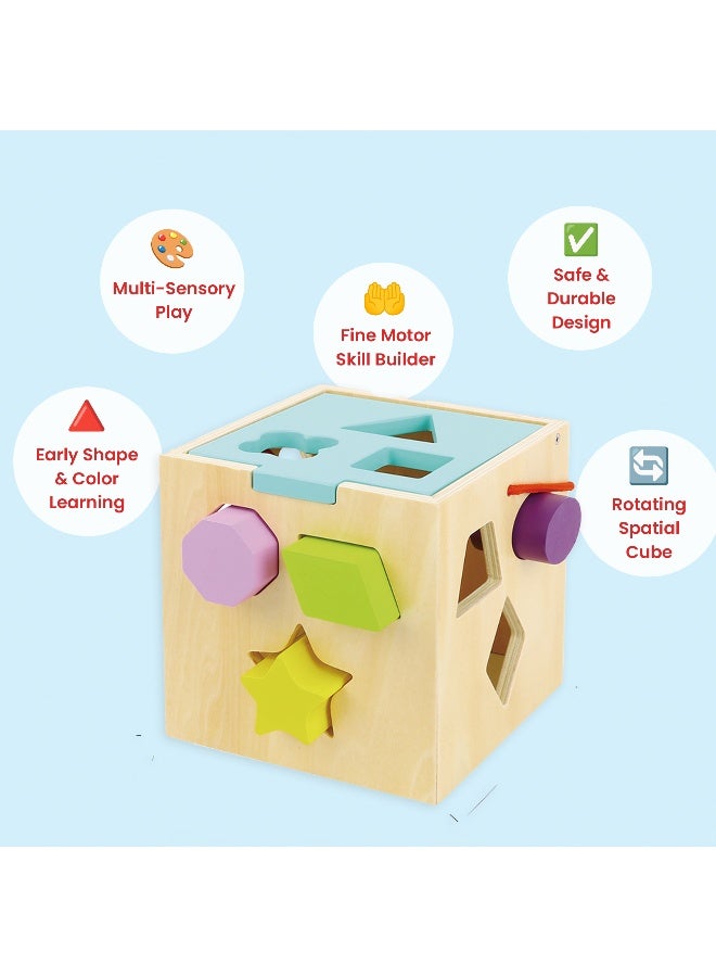COGNIKIDS Shape Sorter Cube for Toddlers – Colorful Early Learning Toy with Geometric Blocks – Educational Sensory Toy for Babies & Kids Ages 12-36 Months - Image 3