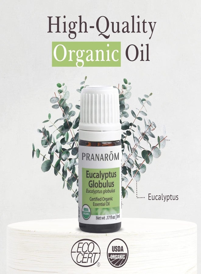 Pranarom - USDA Certified Organic Eucalyptus Globulus Essential Oil 5ml - Wellness Enthusiasts - Aromatherapy - Certified Organic Purity - 100% Pure, Non-GMO, Vegan - Image 3