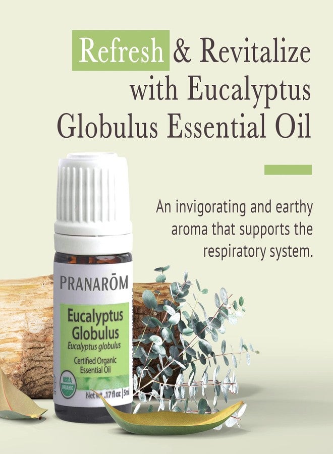Pranarom - USDA Certified Organic Eucalyptus Globulus Essential Oil 5ml - Wellness Enthusiasts - Aromatherapy - Certified Organic Purity - 100% Pure, Non-GMO, Vegan - Image 2