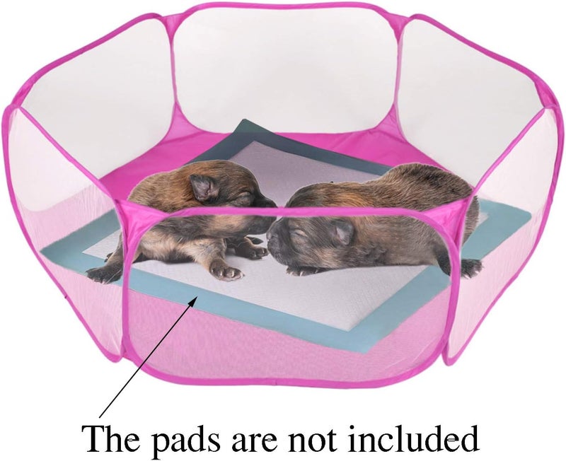 Rypet Guinea Pig Playpen - Breathable & Transparent Pet Playpen Pop Open Outdoor/Indoor Exercise Fence, Portable Yard Fence for Guinea Pig, Rabbits, Hamster, Chinchillas and Hedgehogs - Image 2