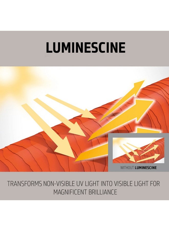 Goldwell Dualsenses Silver Shampoo 300Ml - Image 4