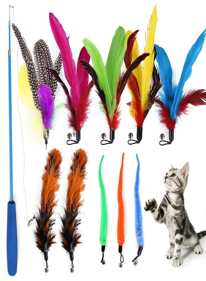 RENARSH Cat Play Tool - Interactive 11 Piece Cat Feather Set with Retractable Wands and Feather Worm Toy - Kitten Toys Variety of Vibrant Colours - Activity to Exercise Cats and Kittens - Image 1