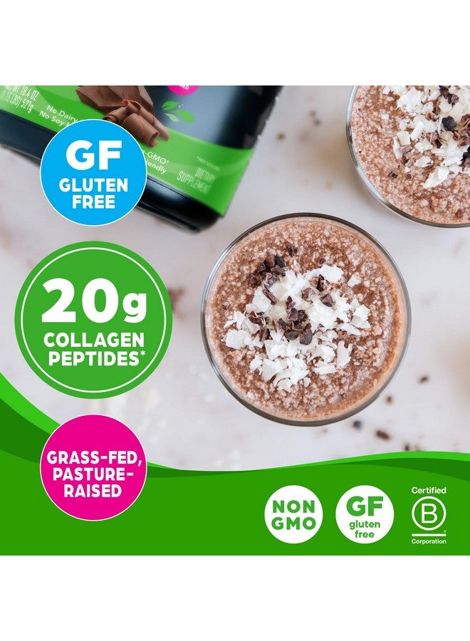 أورجين مسحوق ببتيدات الكولاجين المُحلل من أورجين للنساء والرجال، بنكهة الشوكولاتة، 20 غرامًا من الكولاجين المُغذّى على العشب - مُكمّل غذائي لدعم الشعر والبشرة والأظافر والمفاصل، مناسب لحمية الباليو والكيتو، غير مُعدّل وراثيًا، النوع الأول والثالث، 1 رطل - Image 3