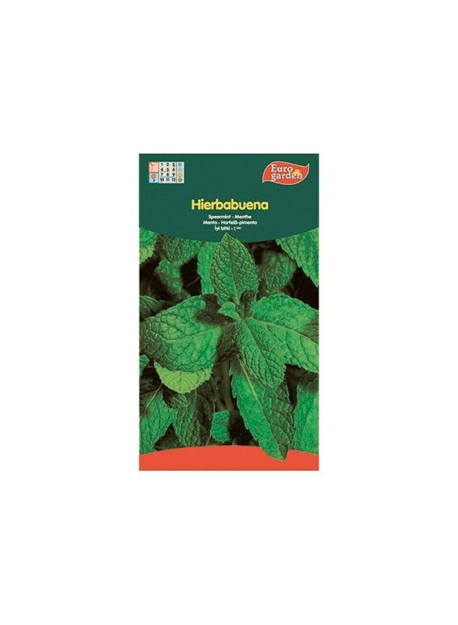 Euro Garden Pepper Mint Seeds