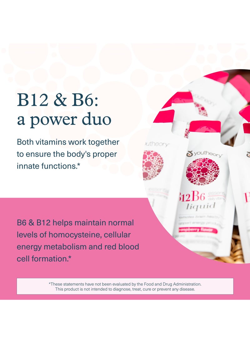 youtheory - Vitamin B12 B6 Liquid Essential Daily Vitamins Raspberry Flavor 121 Fl Oz 30 Ml New Wt 12 Fl Oz 360 Ml - Image 1