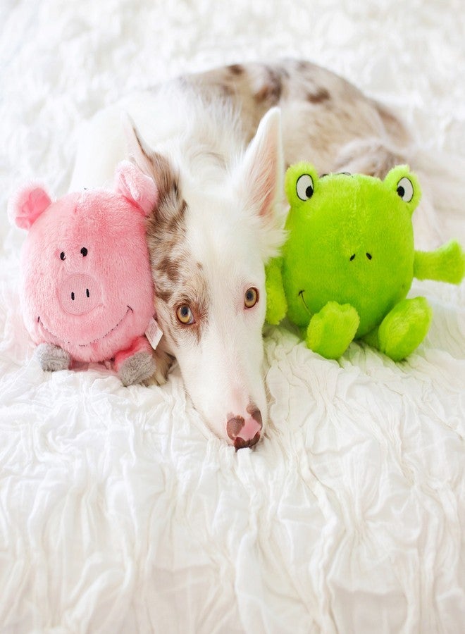 ZippyPaws Brainey Squeaky Plush Dog Toy, Pig - Image 4