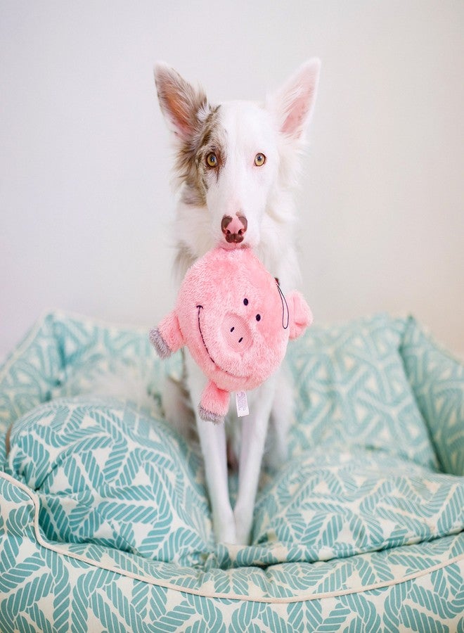 ZippyPaws Brainey Squeaky Plush Dog Toy, Pig - Image 3