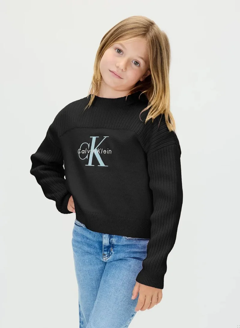 Logo Jumper