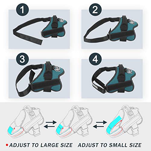 Bolux Dog Harness, No-Pull Reflective Dog Vest, Breathable Adjustable Pet Harness with Handle for Outdoor Walking - No More Pulling, Tugging or Choking (Turquoise, S) - Image 3