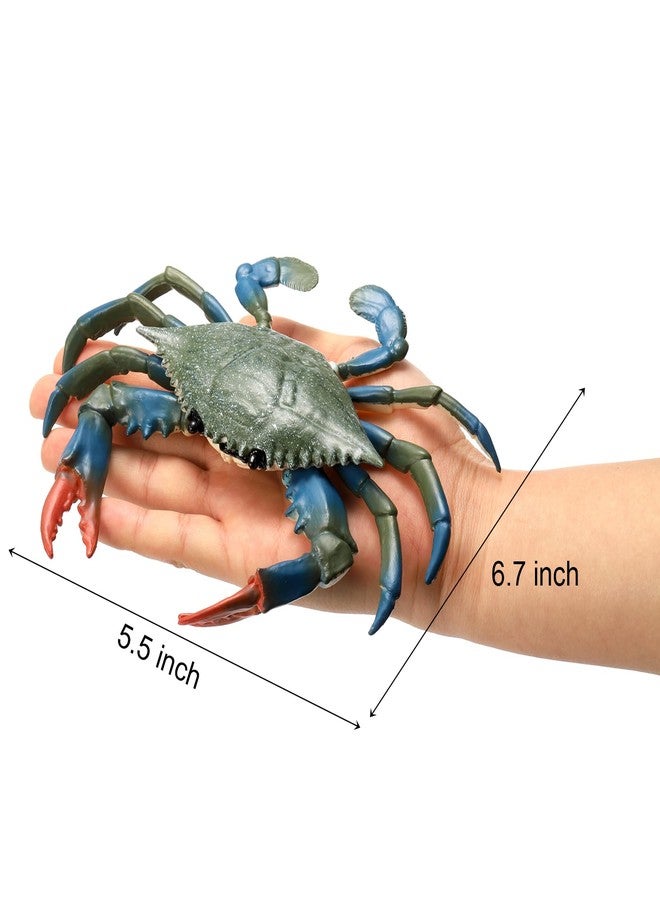 ZENFUN 4 Pieces Artificial Crabs, Fake Plastic Crab Toy, Realistic Crab Models, Crab Decor, Simulated Sea Animal, Home Party Decor, Educational Learning - Image 2