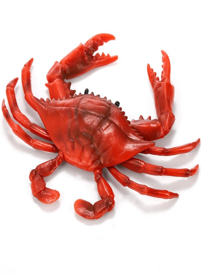 ZENFUN 4 Pieces Artificial Crabs, Fake Plastic Crab Toy, Realistic Crab Models, Crab Decor, Simulated Sea Animal, Home Party Decor, Educational Learning - Image 5