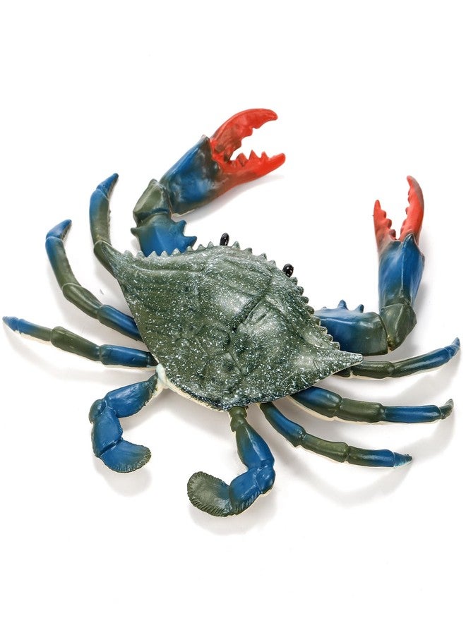 ZENFUN 4 Pieces Artificial Crabs, Fake Plastic Crab Toy, Realistic Crab Models, Crab Decor, Simulated Sea Animal, Home Party Decor, Educational Learning - Image 3