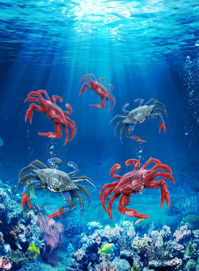 ZENFUN 4 Pieces Artificial Crabs, Fake Plastic Crab Toy, Realistic Crab Models, Crab Decor, Simulated Sea Animal, Home Party Decor, Educational Learning - Image 4