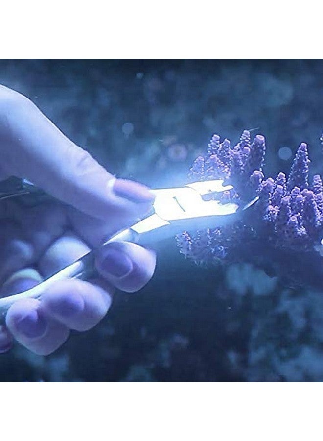 DR Instruments 10FK Ultimate Coral Fragging and Coral Propagation Kit for Reef Hobbyists - 19 Pcs, Rollup case, Stainless Steel Instruments - Image 5