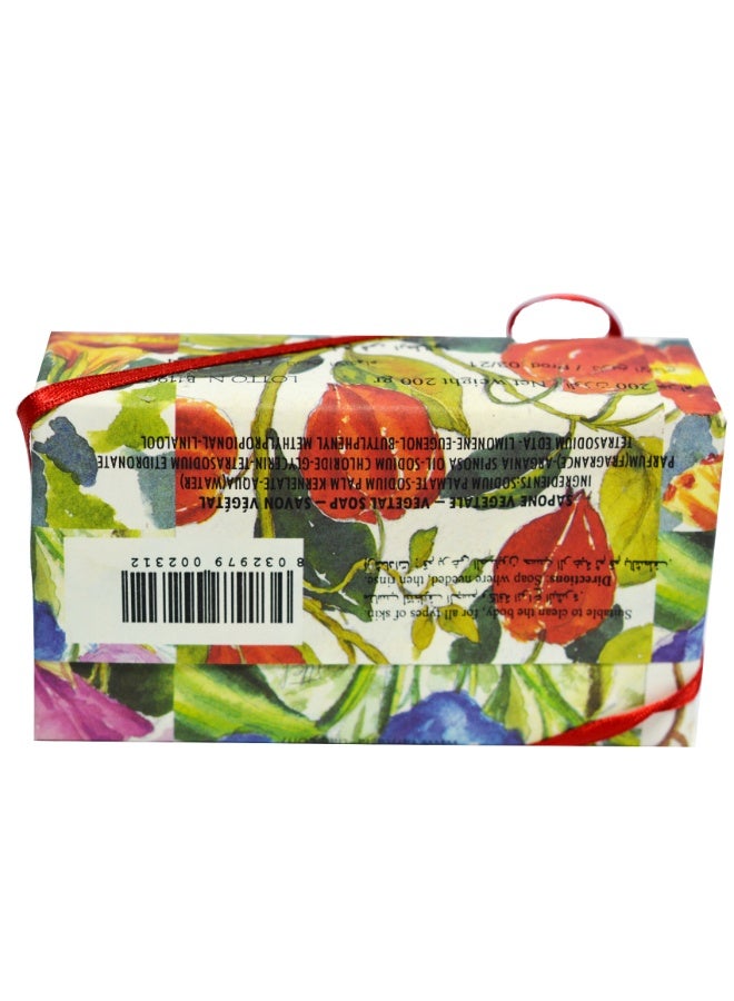 Alchimia Vegetal Soap Argan Oil 200G | Nourishing Italian Bar Soap with Argan Oil | Nourish and moisturize the skin| Maintain skin hydration |Suitable for and all skin types - Image 2