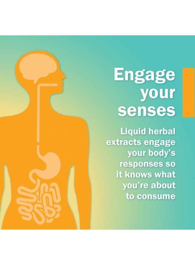 Herb Pharm Certified Organic Cayenne Liquid Extract For Cardiovascular And Circulatory Support - 4 Ounce, Brown - Image 3