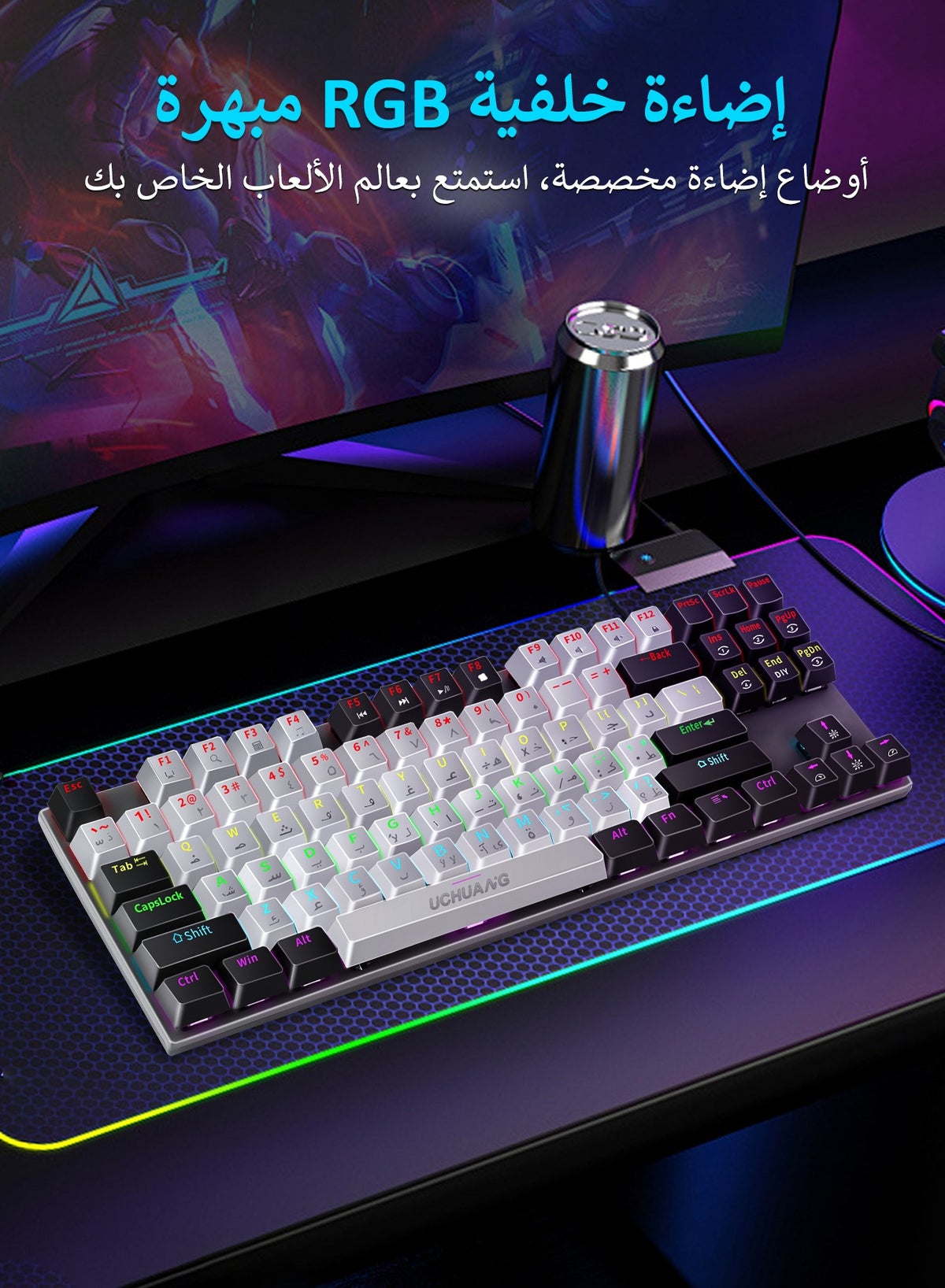 ARCHAEOPTERYX USB Arabic/English Computer Keyboard for PC/Laptop, Wired ...