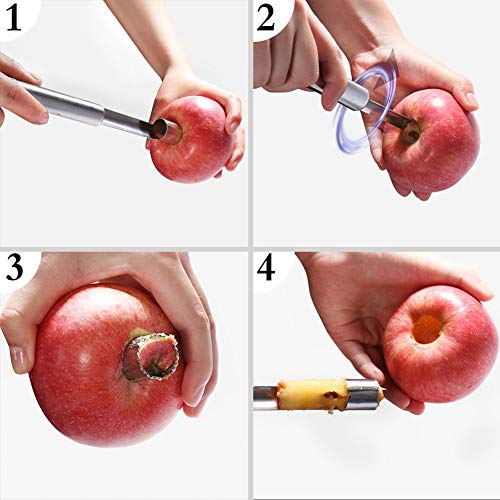 Ramkuwar with Device of R Apple Corer Stainless Steel, Core Remover for Apple and Pear, Kitchen Gadget Dishwasher Safe - Image 3